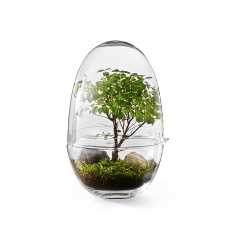 Grow Greenhouse S
