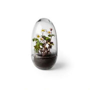 Grow Greenhouse S