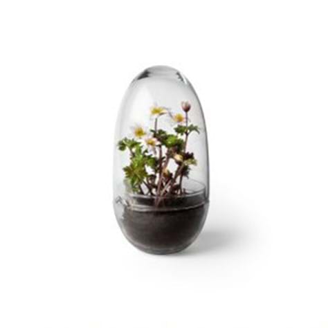 Grow Greenhouse S