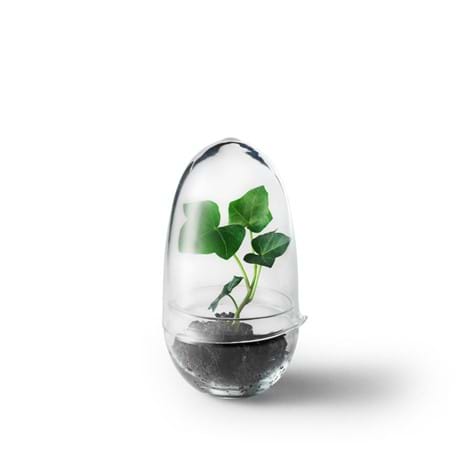 Grow Greenhouse S