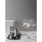 Aroma Copa Gin 4-pack